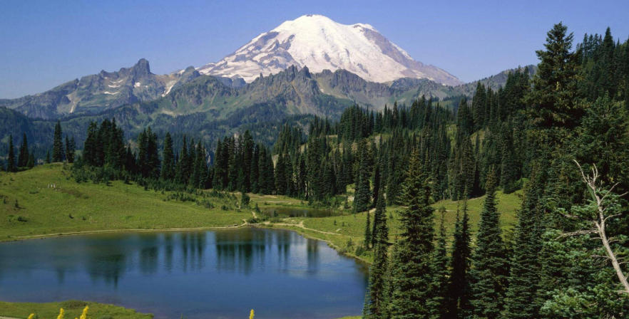 大连鼎泰防水工程有限公司轮播图2